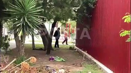 Avanza estado de salud de niños baleados en Barrio Santa Isabel