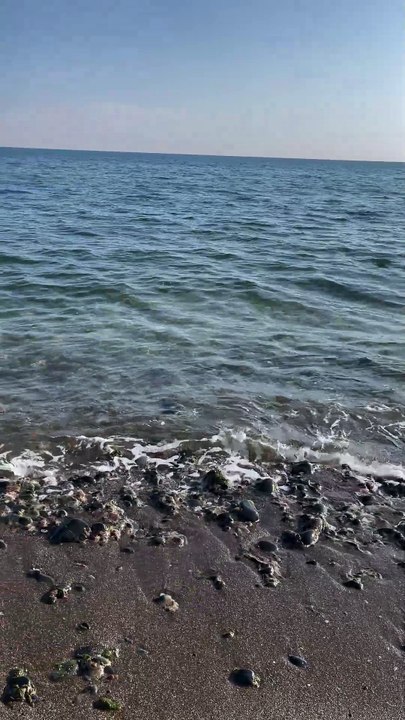 صباح الخير