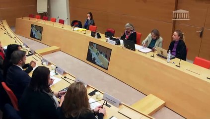 Délégation aux droits des enfants : Auditions diverses - Mercredi 12 février 2025