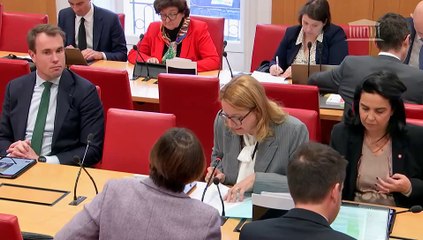 Commission des lois : Faciliter l'accès des demandeurs d'asile au marché du travail (Suite) - Mercredi 12 février 2025