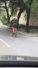 VIDEO: Ciclista arriesga vida de perrito en San Pedro