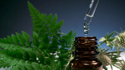 tn7-Gobierno presentará reglamento para producción y comercialización de cannabis medicinal-120225