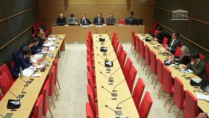 Organisation des élections en France : Représentants du ministère de l’intérieur ; Mme Stéphanie Schaer, directrice interministérielle du numérique (DINUM) - Mercredi 12 février 2025