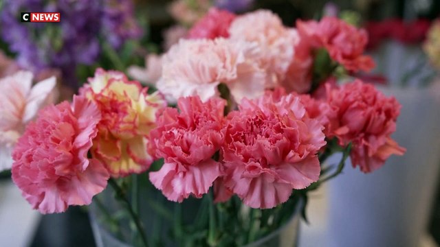 Pour la Saint-Valentin, offrez des fleurs comestibles