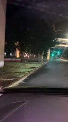 Usan aspersores para regar en San Pedro