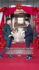 Reborn Brothers: One Rises, One Falls — A Tale of Second Chances and Fateful Choices