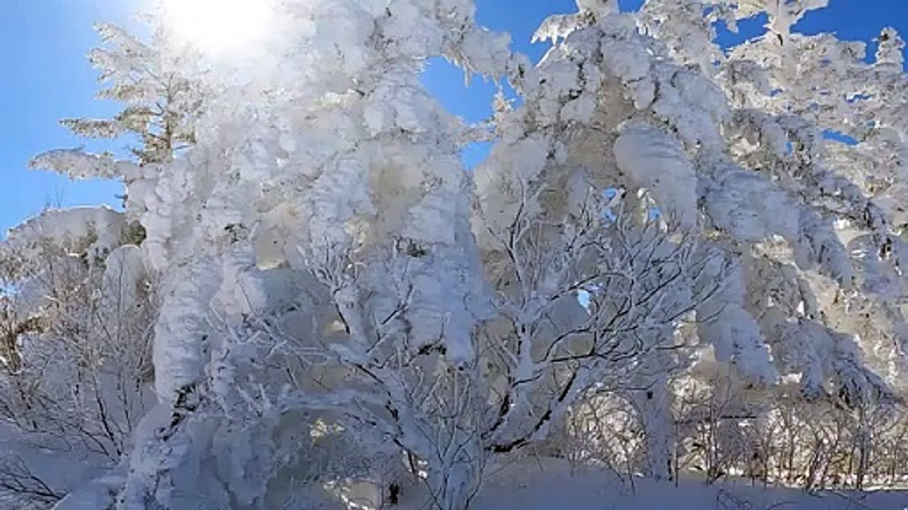 A beautiful snow monster in a city with blue skies and clear air.