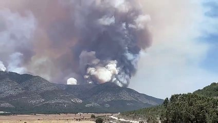 Alerta por incendio en la sierra de Arteaga, Coahuila