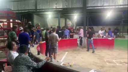VIDEO: Clausuran autoridades de Escobedo palenque clandestino
