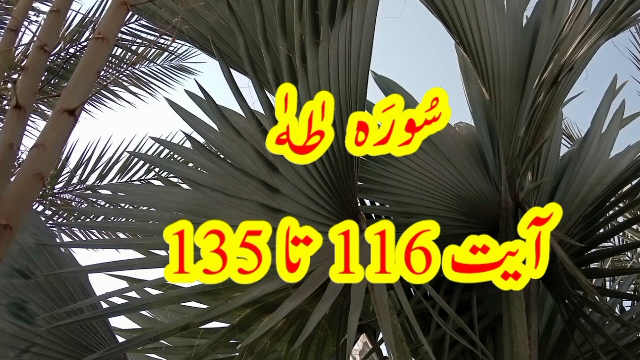 Surah Taha | quran verses | Tilawat taha | quran recitation | quran pak ki tilawat |