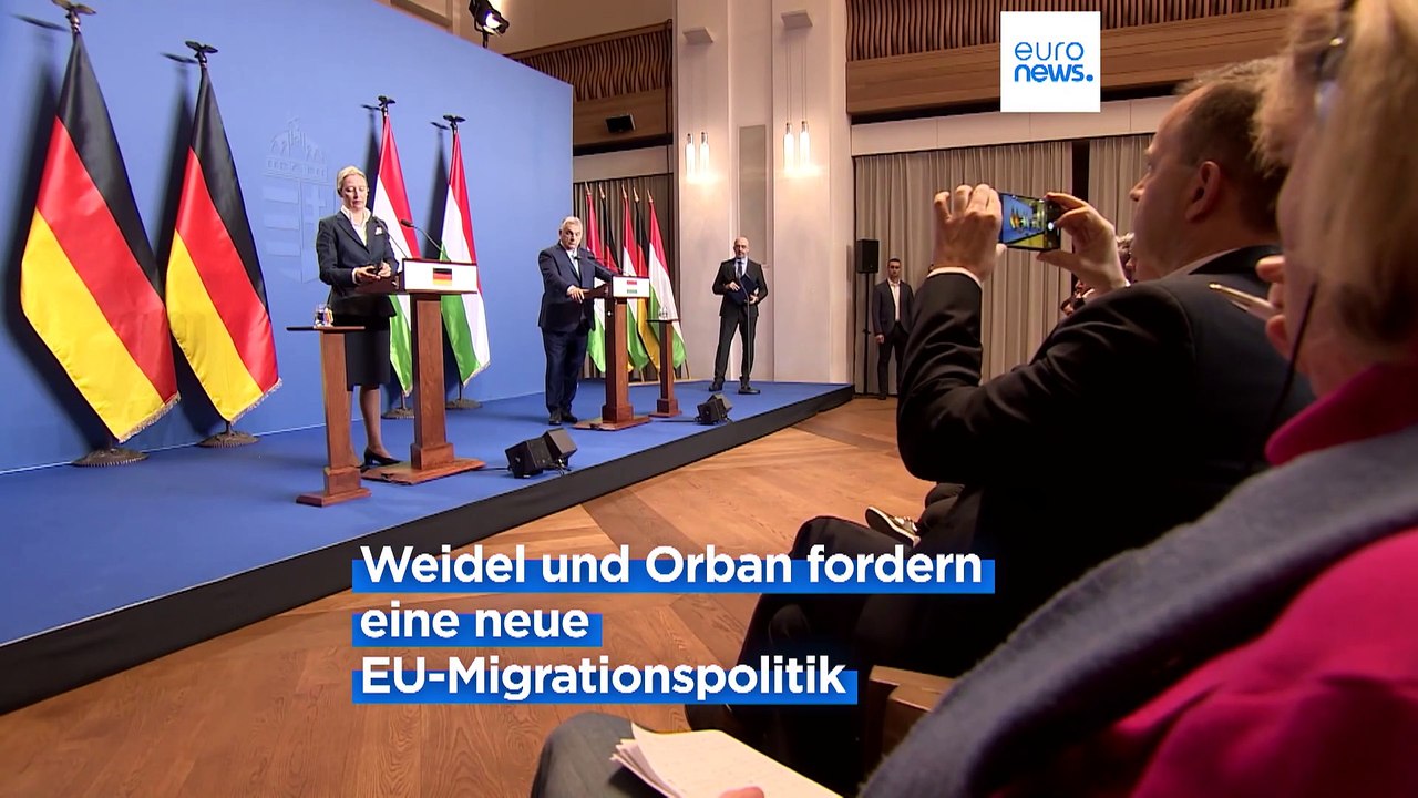 Nachrichten des Tages | 13. Februar - Morgenausgabe