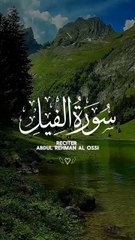 Surah Al-Fil (سورة الفيل)🤲🤲🤲😍😍❤️❤️❤️ | Beautiful Recitation with English Translation