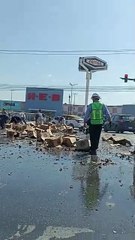 ¡Buenos para la rapiña! Vuelca camión de cerveza en Monterrey