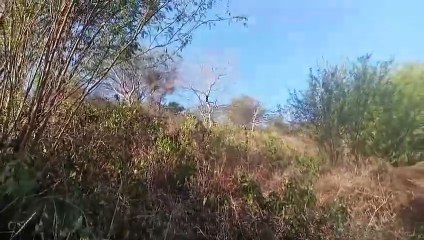 दहशत में ग्रामीण