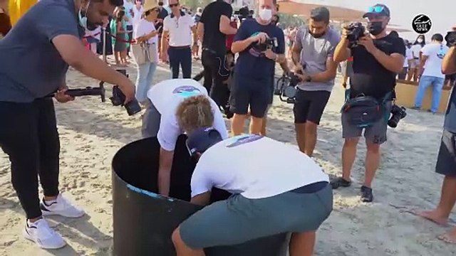 Dubai Turtle Rehabilitation Project has released endangered sea turtles to their natural habitat