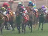 Queen's Silver Jubile Cup (Gr1) 160308 (Good Ba Ba)