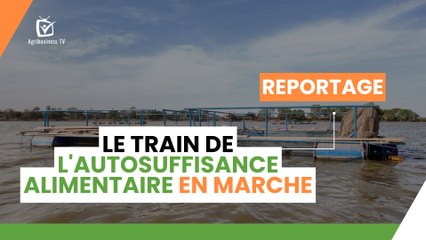 Burkina Faso : Le train de l'autosuffisance alimentaire en marche