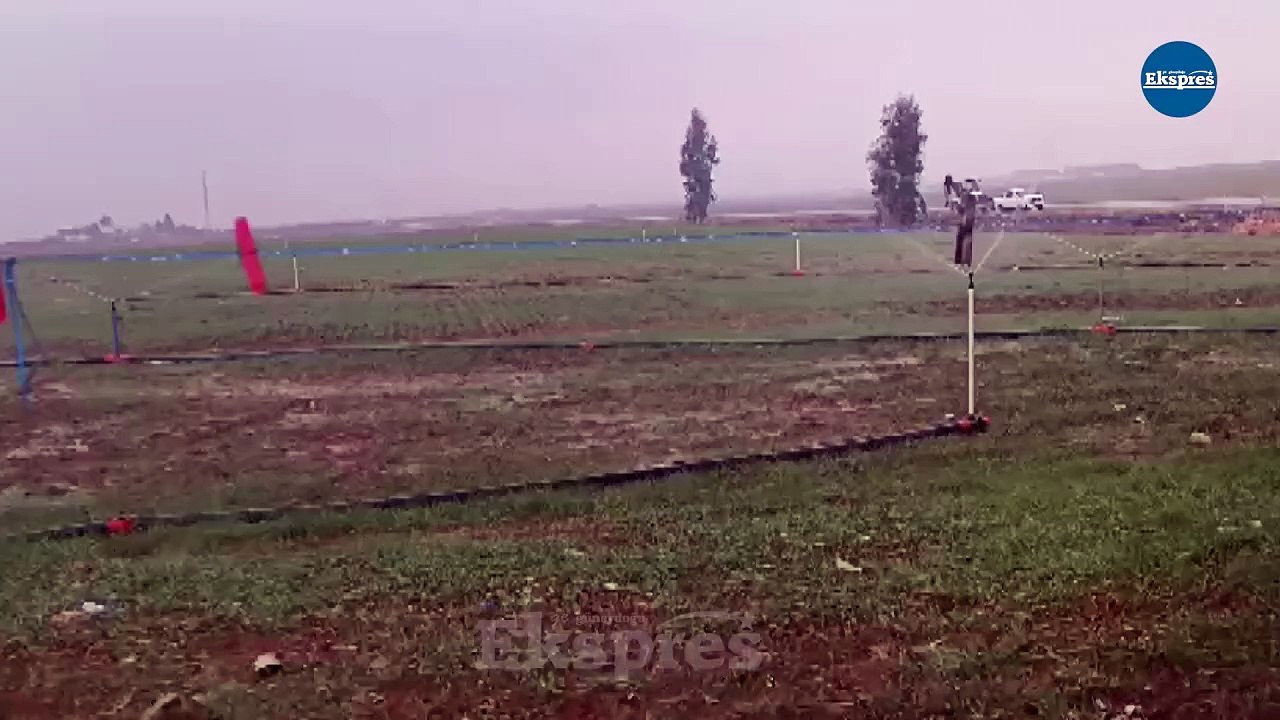 Dicle Elektrik'ten şaşkınlık uyandıran tespit: Yağmurlu havada tarlasını suladı!