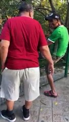 Hombre arriesga su vida, ingresa a mirador de cocodrilos y los patea