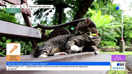 13/02/2025 - ici matin par ici Bourgogne en vidéo