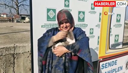 Osmaniye Belediyesi, Sahipsiz Sokak Kedilerini Ücretsiz Kısırlaştırıyor