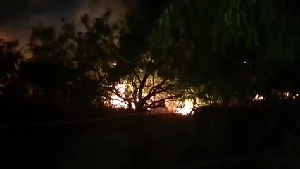¡El viento no ayuda! Santa Catarina registra incendio en arroyo El Obispo