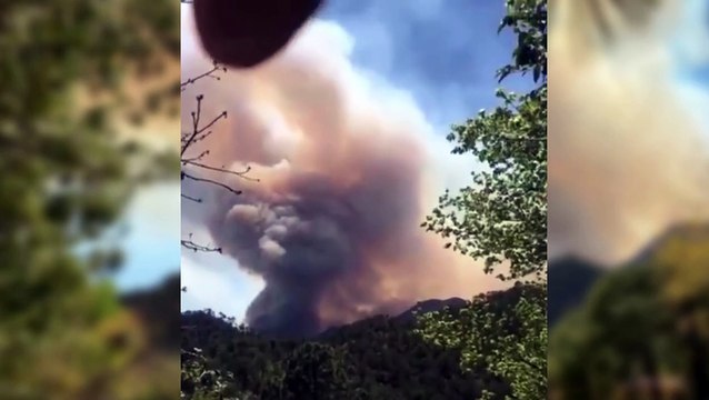 Se sale de control incendio forestal de Ciénega de González