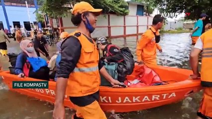 Hoax Buaya Masuk Rumah Saat Banjir di Pekalongan | News or Hoax