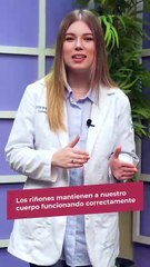 Día Mundial del Riñón