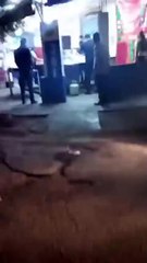 ¡Todo por unos tacos! Hombre escandaliza por error en taquería de Apodaca