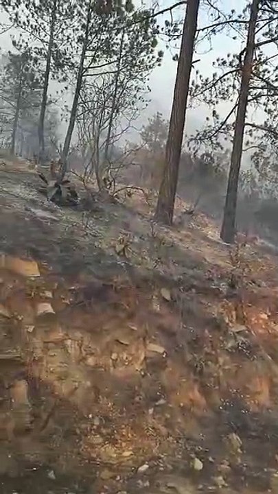 Ante riesgo por incendio, evacuan a familias de La Cebolla