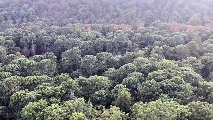 Buscan a joven desaparecido en La Batea, Santiago