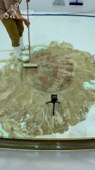 Surprise In The Mud - Sweet Cat Carpet Cleaned - Satisfying Video, ASMR Carpet Cleaning #shorts