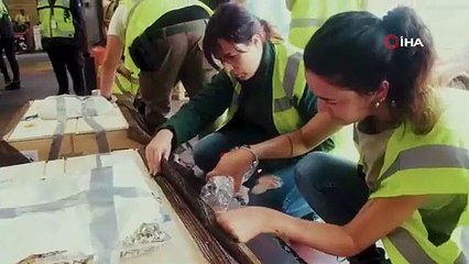 Gri papağanlar Turkish Cargo ile özgürlüğe uçtu