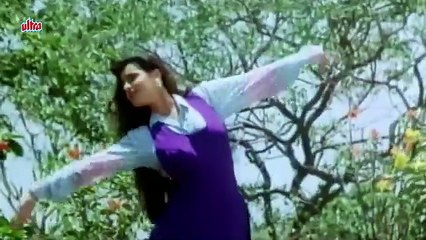 Tujhko Maine Dil Diya /1992 Khule Aam/ Sadhana Sargam, Gautam Roy