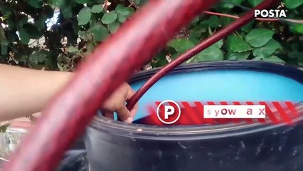 Piden no entrar en pánico y ahorrar agua, tras sequía en Nuevo León