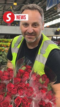 'Love is in the air', say Australian flower growers as they prepare for Valentine's Day