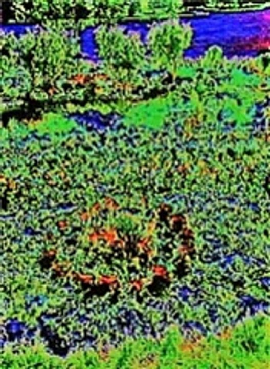 Mauro Giuliani Grande Overture part1 (Klaus Breuer Guitar)