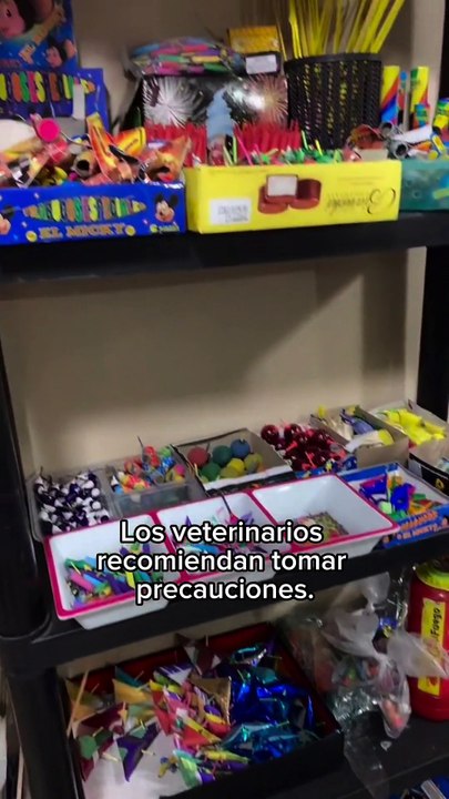 ¿Cómo proteger a tus perritos de la pirotecnia esta Navidad?
