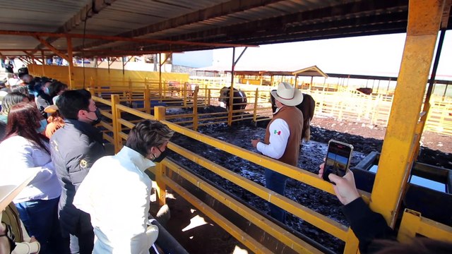 Apoyará Samuel García la ruta del vino de la UANL en Nuevo León