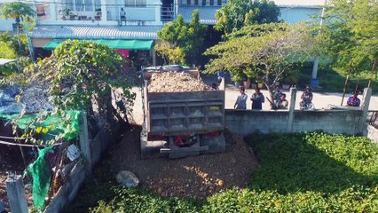 Completed project!! Dozer D20 &5T Truck pushing stone on land 10x20m