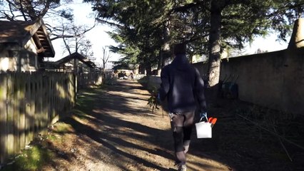 Il panda rosso Tashi esce dalla tana per San Valentino