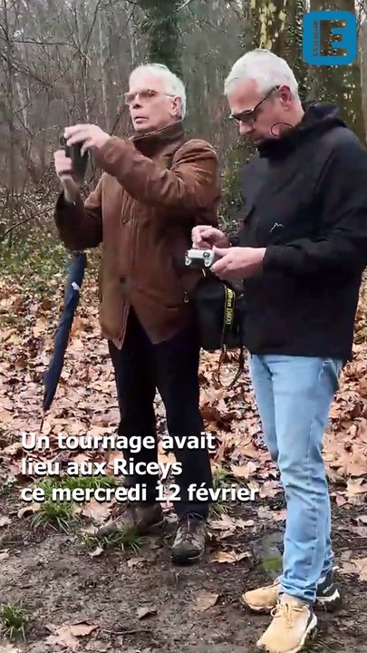 Un film sur les arbres remarquables tourné dans l’allée des platanes du château de Ricey-Bas (Aube)
