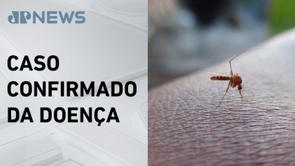 São Paulo registra primeira morte por chikungunya em 2025