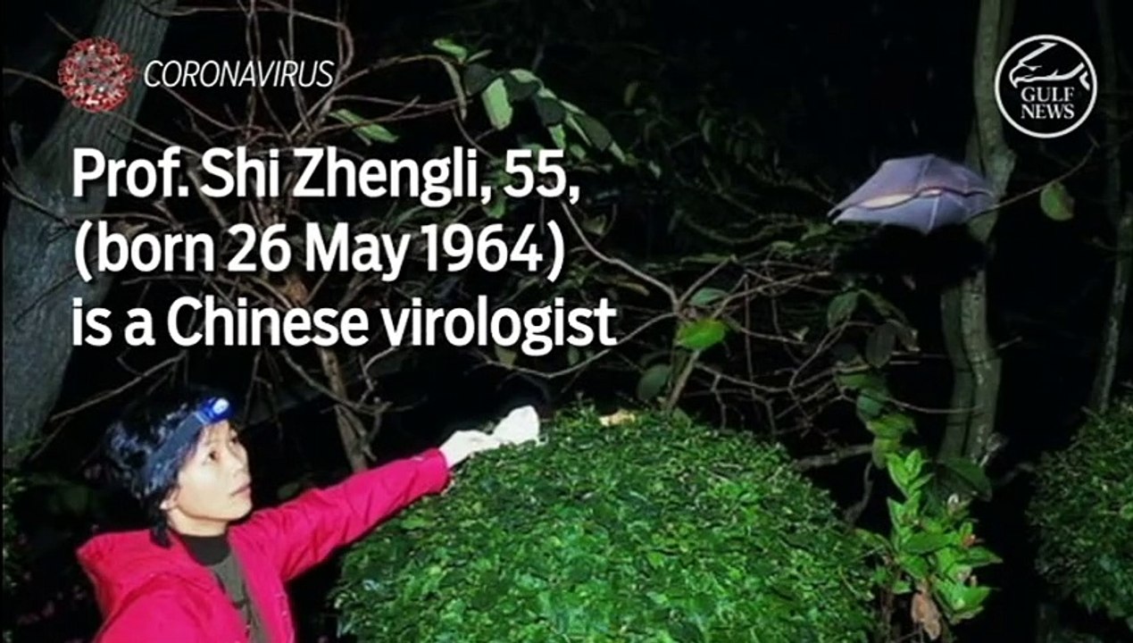 Meet China's "Bat woman" Coronavirus expert at Wuhan Institute of virology