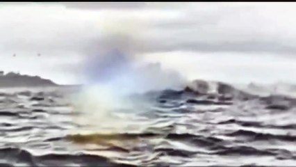 Un joven fue tragado por una ballena jorobada