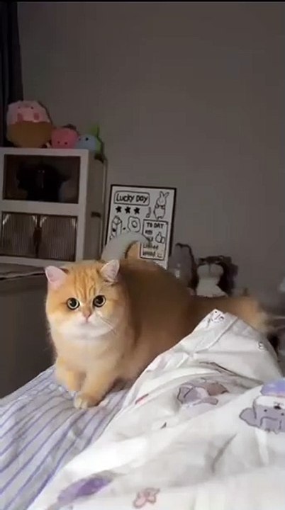 😚😚