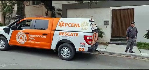 Alertan por avistamiento de tres osos en Valle Alto en Monterrey. (VIDEO)