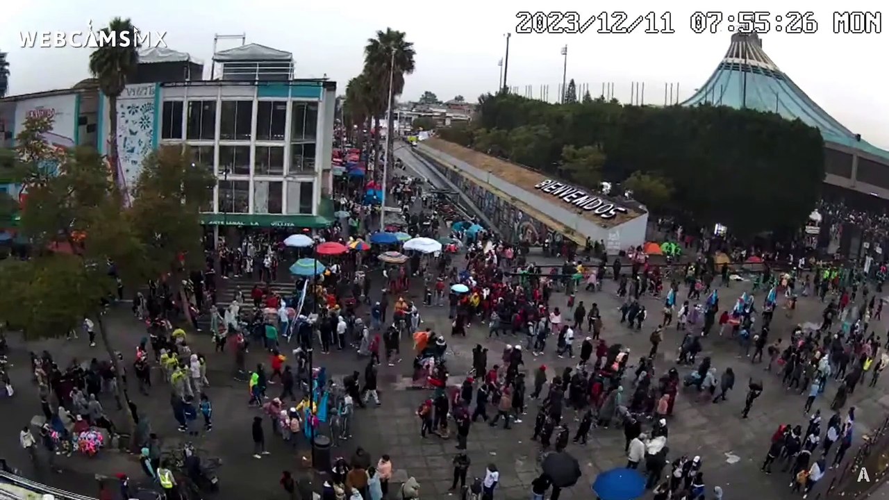 Miles de peregrinos llegan a la Basílica para celebrar a la Virgen de Guadalupe