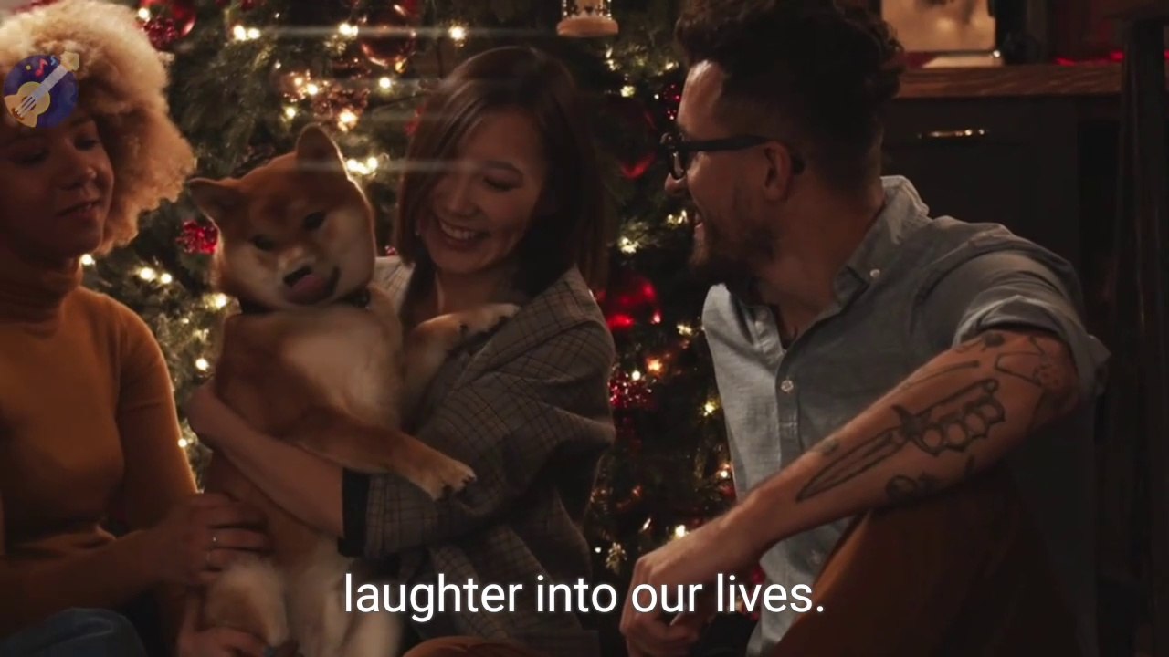 Dog 🐩 funny short -
